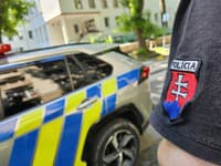 TRAGICKÝ nález v Petržalke! V lesnom poraste objavili mŕtveho muža