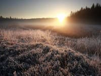 Meteorológovia varujú pred prízemným mrazom: Teploty môžu klesnúť až na -3°C