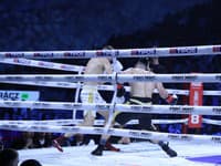 Fight Night Challenge 7