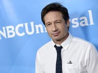 Takto starne Mulder z Aktov X: ŠEDIVÁ BRADA a... Mladá kočka po jeho boku!