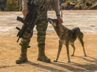 Počuli ste už o vojne, ktorú rozpútal pes? Bizarný konflikt trval sedem rokov! A toto je výsledok