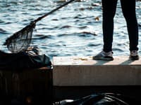V Tamilnáde spozorovali vzácnu rybu súdneho dňa, ktorá je považovaná za varovné znamenie prírodnej katastrofy