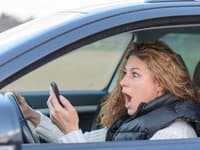 Sandre sa z auta naskytol úchvatný pohľad: VIDEO Toto musí byť najväčší medveď na svete!