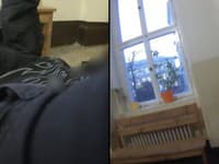 Ďalší pokus o ozbrojený útok na českej škole!? VIDEO Autentické zábery zo zásahu policajtov, takto mladíka spacifikovali!