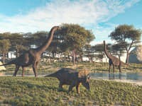 Objav, ktorý prepisuje históriu dinosaurov: Vysoko v Andách našli jedného z najstarších druhov dinosaurov na svete