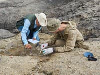 Amatérskemu archeológovi sa po rokoch podaril životný objav: Na brehu rieky našiel poklad starý 125-tisíc rokov!
