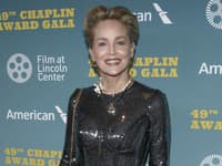 Ohromujúce zistenie hviezdnej Sharon Stone: Má KRÁĽOVSKÝ PÔVOD... Neuveríte, koho je potomkom!