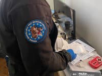 Policajná akcia Irakli. Obvinili gang, ktorý zarábal na falšovaní povolení pre cudzincov.