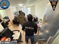 Policajná akcia Irakli. Obvinili gang, ktorý zarábal na falšovaní povolení pre cudzincov.