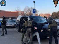 Policajná akcia Irakli. Obvinili gang, ktorý zarábal na falšovaní povolení pre cudzincov.