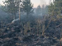 AKTUÁLNE Lesný požiar v Belianskych Tatrách: Hasiči zasahujú pri Mlynčekoch a Spišskej Belej