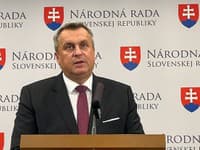 Danko sa vyjadril ku kríze, Ľupták povedal, že prvý minister je už dohodnutý.