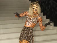 Body art show 2025 - Dagmar Didiana Dianová