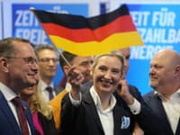 Alice Weidelová (AfD)