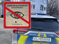 Šokujúci INCIDENT na juhu Slovenska! Na dieťa zaútočil pes, pri jeho obrane dohrýzol ďalších dvoch ľudí