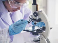 Nenápadná mikroskopická ŠKVRNKA sa stala prelomom roka: Vedci našli TVORA, ktorý odhaľuje stratenú HISTÓRIU buniek!