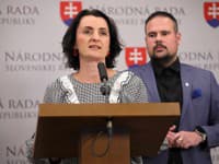 Výzva Ministerstva investícií na vyplácanie pracovníkov samosprávami neprinesie úsporu kapacít, uviedlo PS