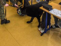 Policajná kontrola na základnej škole vo Veľkých Kapušanoch