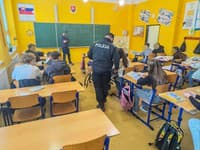 Policajná kontrola na základnej škole vo Veľkých Kapušanoch