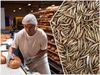 Chlieb z kobyliek zmiešaných s múčnymi červami a hubou vytvorený vedcami na boj proti globálnej potravinovej kríze FOTO