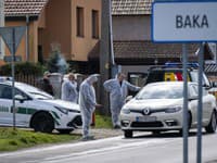 Nebezpečná nákaza na Slovensku! MIMORIADNE opatrenia a vakcinácia, TOTO predstavuje obrovské riziko