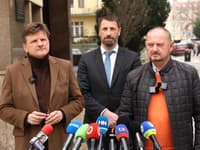 Slintačka a krívačka prehĺbia rozdiely medzi slovenskými poľnohospodármi, tvrdí strana SaS