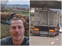 MIMORIADNE Šokujúce podozrenie! Farmári sú v obrovskom strachu: Rizikový prevoz nakazených mrcín cez celé Slovensko