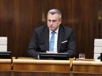Dankova SNS opäť zavarila koalícii: Nepodporila vládny návrh vyslať vojakov do Pobaltia a bráni Rusko!