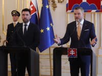 MIMORIADNE Ďalší prípad slintačky a krívačky neďaleko našich hraníc! Slovensko okamžite reaguje opatreniami