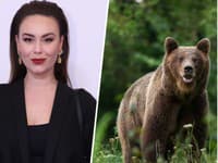 Kavaschová ZNECHUTENÁ zo schváleného odstrelu medveďov: Bolo by načase voliť empatických ľudí!