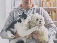 Máte domáceho miláčika? Výborná správa! Odborníci prišli na závažnú skutočnosť