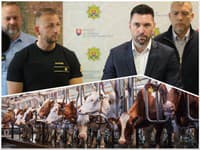 AKTUÁLNE Nové opatrenia kvôli SLAK: Ďalšia farma musí utratiť dobytok!