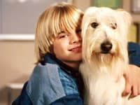 Blonďáčik Simon zo seriálu V siedmom nebi po 30 rokoch: Je z neho BRADATÝ tatko s HOLOU hlavou!