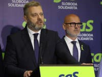 Aby Európska únia zvládla výzvy, musí posilniť konkurencieschopnosť a obranyschopnosť, tvrdí SaS
