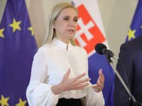 Vlada odložila odločitev o subvencijah za energijo za leto 2025