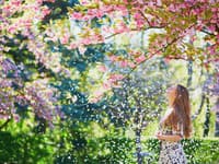 Otvára sa obrovská orientálna botanická záhrada inšpirovaná slávnym projektom dažďového pralesa Eden: Pracovali na nej 10 rokov FOTO