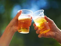 Švédski vedci premieňajú moč z festivalov na pivo