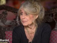 Legendárna Brigitte Bardot (90) PREHOVORILA po dlhých 11 rokoch: ZASTALA SA obvineného Depardieua!
