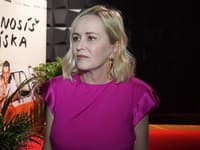 Čobejová už viac nezostala TICHO: Politici nám robia HANBU... Niet dňa bez pocitu trápnosti!