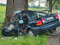 Tragická dopravná nehoda pri Šali: FOTO Muž († 48) vpálil priamo do stromu! Auto na šrot, vodič nemal šancu