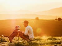 Štúdia potvrdila: Psíčkari majú zdravší životný štýl aj vďaka svojim štvornohým spoločníkom