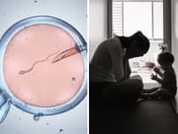 Neuveriteľný OMYL v reprodukčnej klinike: Pri umelom oplodnení zamenili EMBRYÁ! Rodiny vychovávali cudzie deti