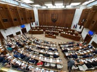 Dvanásť organizácií vyzýva poslancov parlamentu, aby nehlasovali za návrh novely ústavy