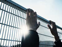 Ruskú vedkyňu z Harvardu prepustili z väzby: Bola tam za pašovanie žabích embryí