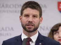 Progresívne Slovensko proti novele o politických stranách: Podľa Šimečku ide o likvidáciu liberálnej demokracie