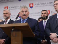 Zmena ústavy: Dráma do poslednej chvíle! Koalícii skrížil plány druhý Majerský, Ferenčák zamiešal karty!