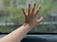 Holandskí rodičia izolovali pred svetom svoje dve deti: Nevedeli ani rozprávať