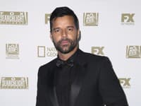 Ricky Martin