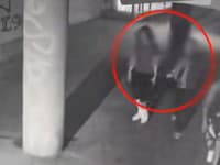 Dva moška se v Bratislavi predstavljala za policiste, na Poljskem aretirali osumljenca za umor očeta