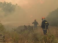 Vlom v Tursku in na Ciper: Vročinski val povzročil obsežne požare s smrtnimi žrtvami